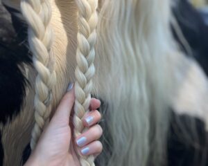 Read more about the article DIY Nails for Musicians & Equestrians: The Perfect Low-Maintenance Manicure