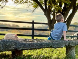 Read more about the article Silence