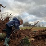 Permission for This Season