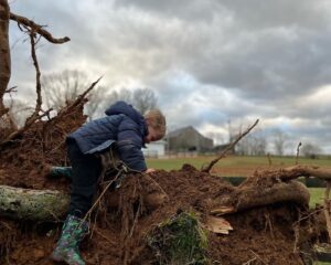 Read more about the article Permission for This Season