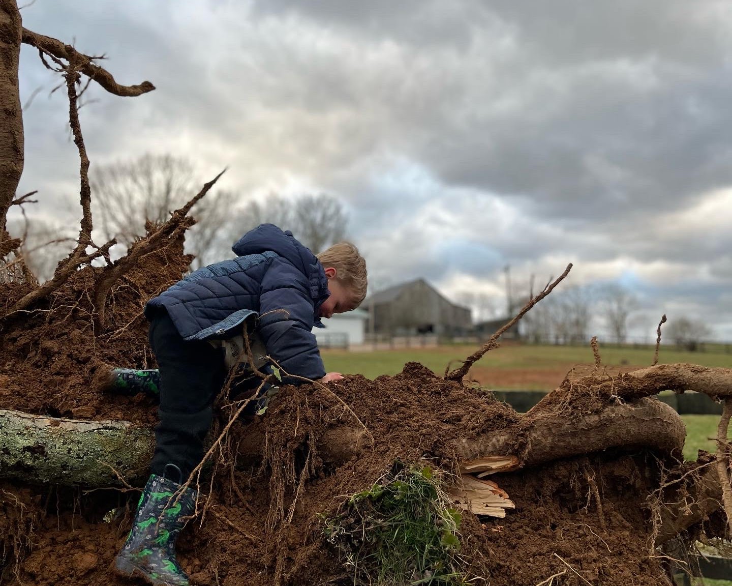 Read more about the article Permission for This Season