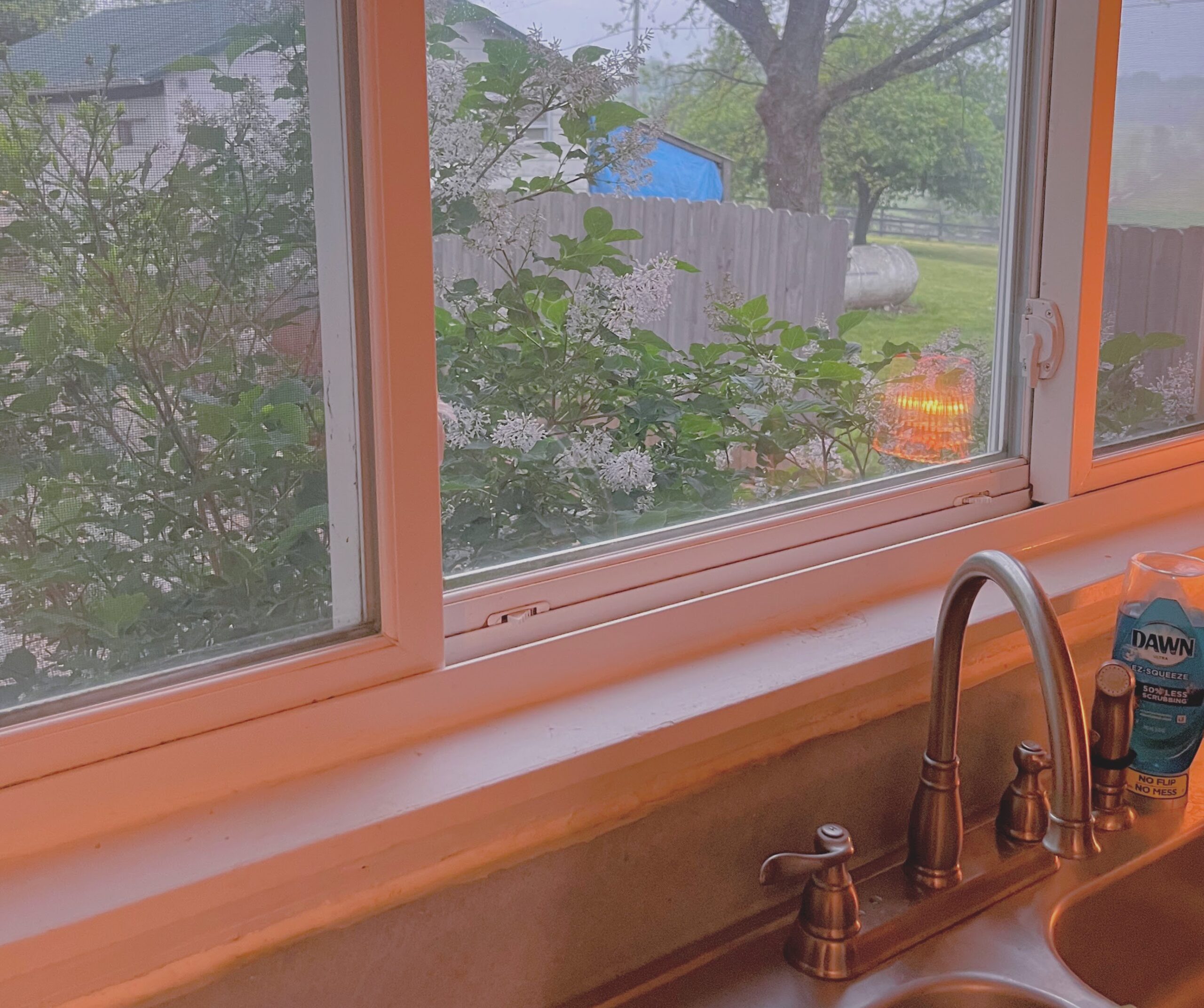 You are currently viewing Life Hacks to Help with Executive Dysfunction: 6 Tips for How to Keep Up When Routines Don’t Work