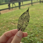 What Chronic Illness Has Given Me